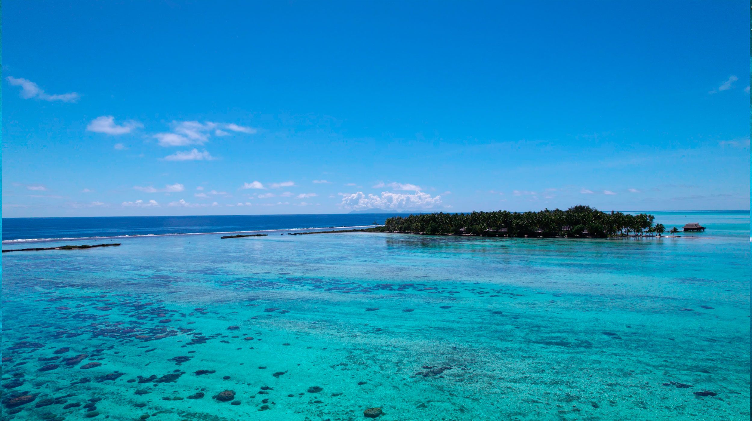 Blue dream xperience private boat